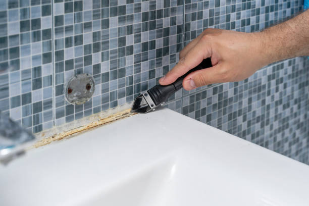 Best Best Mold Removal Companies  in Carey, OH